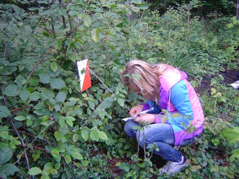 V Marsz na Orientacj� 'Picu�'