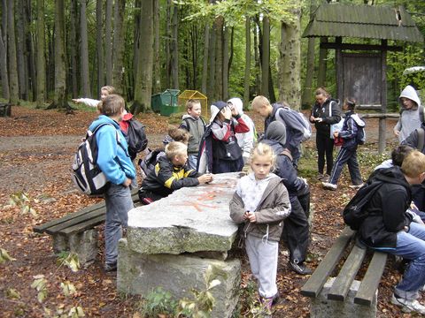 VI Marsz na Orientacj� 'Picu�'