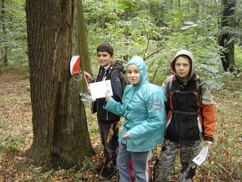 VI Marsz na Orientacj� 'Picu�'