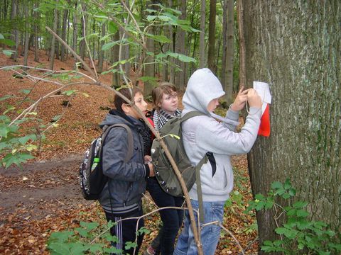 VI Marsz na Orientacj� 'Picu�'