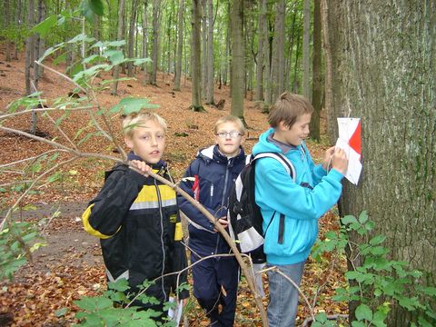 VI Marsz na Orientacj� 'Picu�'