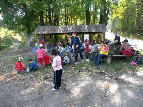 VII Marsz na Orientacj� 'Picu�' s007 - PTTK Strzelin