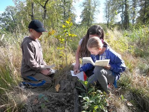 VII Marsz na Orientacj� 'Picu�' s015 - PTTK Strzelin