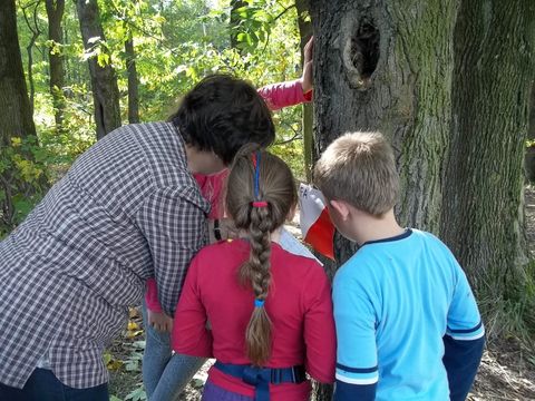 VII Marsz na Orientacj� 'Picu�' s017 - PTTK Strzelin