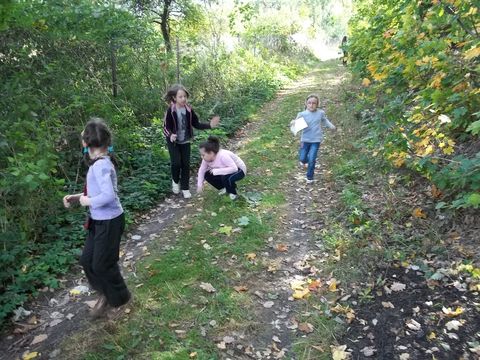 VII Marsz na Orientacj� 'Picu�' s018 - PTTK Strzelin