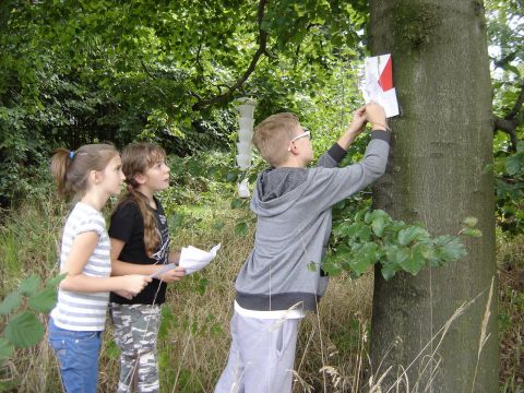 IX Marsz na Orientacj� 'Picu�' s006 - PTTK Strzelin