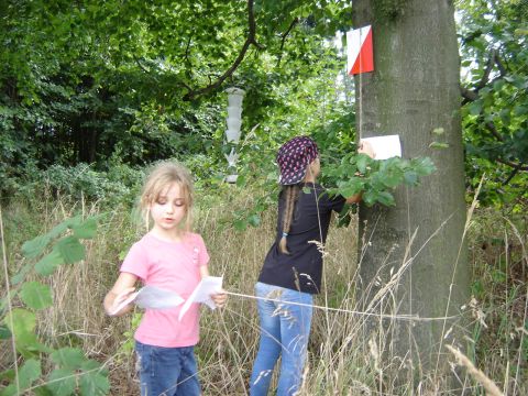 IX Marsz na Orientacj� 'Picu�' s008 - PTTK Strzelin