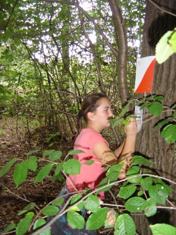 IX Marsz na Orientacj� 'Picu�' s012 - PTTK Strzelin