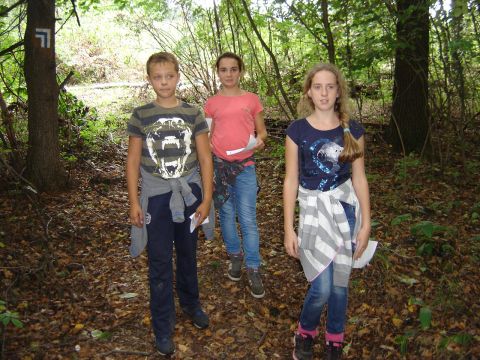 IX Marsz na Orientacj� 'Picu�' s013 - PTTK Strzelin