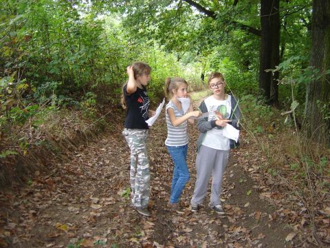 IX Marsz na Orientacj� 'Picu�' s014 - PTTK Strzelin