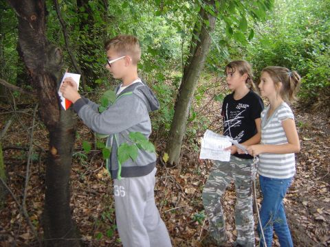 IX Marsz na Orientacj� 'Picu�' s015 - PTTK Strzelin