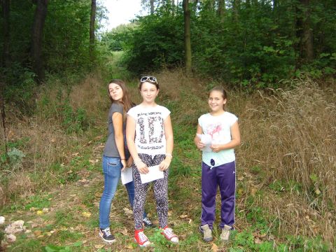 IX Marsz na Orientacj� 'Picu�' s021 - PTTK Strzelin