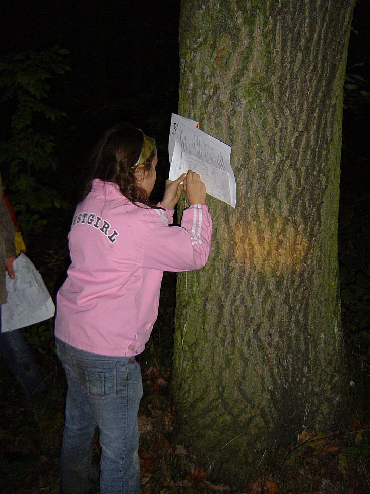 Matnia - XVI Mistrzostwa Polski w Indywidualnych Marszach na Orientację s002 - PTTK Strzelin
