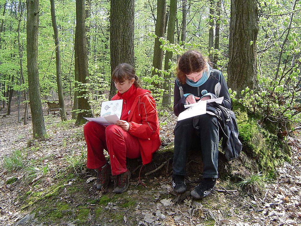 XII Ogólnopolskie Marsze na Orientację Siapula s002 - PTTK Strzelin