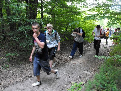 XI Wojew�dzki Marsz na Orientacj� 'Strzelin 2012' s021 - PTTK Strzelin