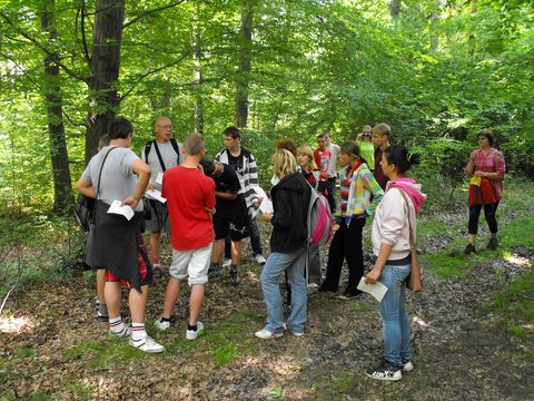 XI Wojew�dzki Marsz na Orientacj� 'Strzelin 2012' s032 - PTTK Strzelin