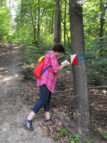 XI Wojew�dzki Marsz na Orientacj� 'Strzelin 2012' s033 - PTTK Strzelin