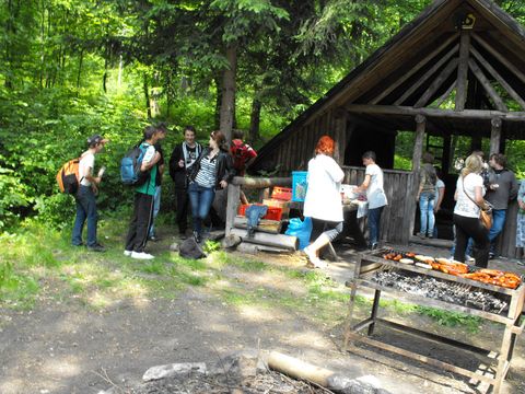 XI Wojew�dzki Marsz na Orientacj� 'Strzelin 2012' s048 - PTTK Strzelin