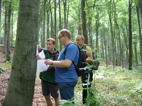 XIII Marsz na Orientacj� 'Strzelin 2014' s006 - PTTK Strzelin