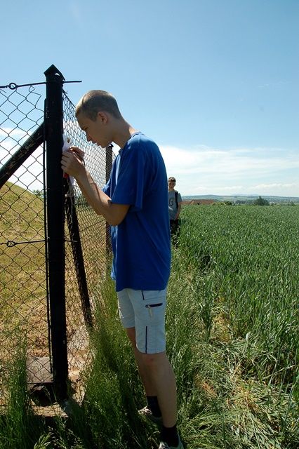 XV Wojew�dzki Marsz na Orientacj� 'Strzelin 2016' s008 - PTTK Strzelin