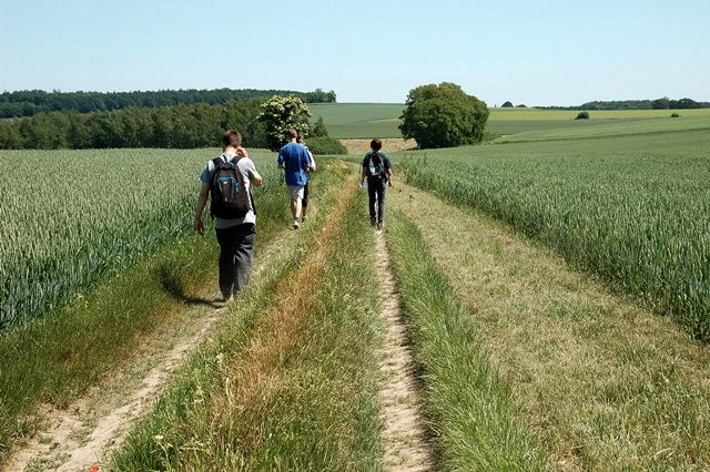 XV Wojew�dzki Marsz na Orientacj� 'Strzelin 2016' s009 - PTTK Strzelin