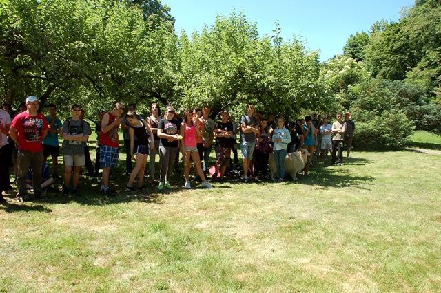 XV Wojew�dzki Marsz na Orientacj� 'Strzelin 2016' s066 - PTTK Strzelin