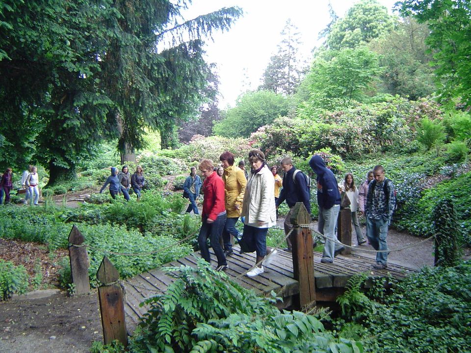 VIII Wojewódzki Marsz na Orientację Strzelin 2007 s002 - PTTK Strzelin