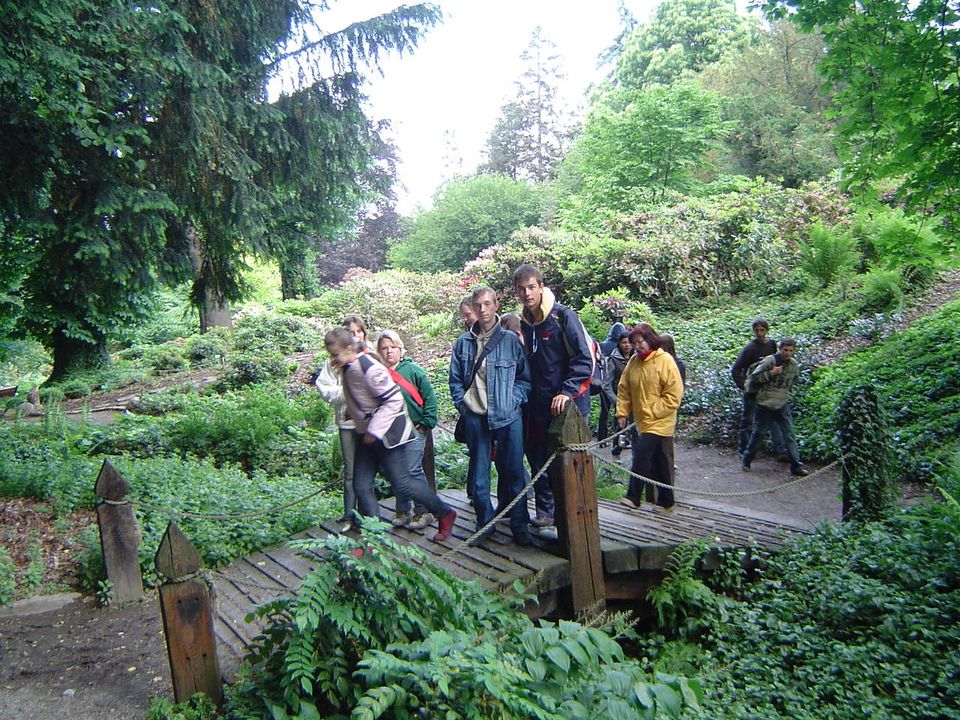 VIII Wojewódzki Marsz na Orientację Strzelin 2007 s002 - PTTK Strzelin