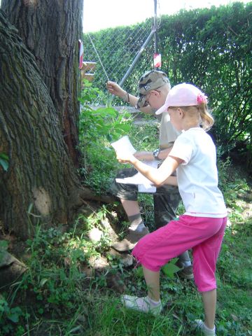 IX Szkolny Marsz na Orientację s12 - PTTK Strzelin