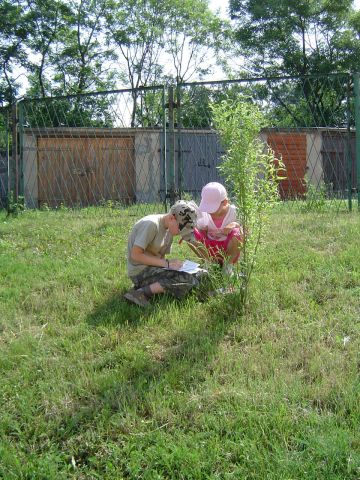 IX Szkolny Marsz na Orientację s13 - PTTK Strzelin