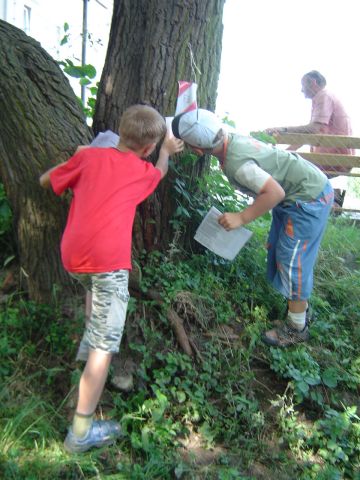 IX Szkolny Marsz na Orientację s15 - PTTK Strzelin