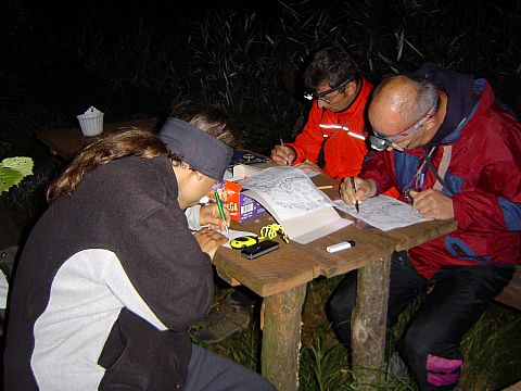 XII Ogólnopolskie Marsze na Orientację Szlakiem opadłych liści s2 - PTTK Strzelin