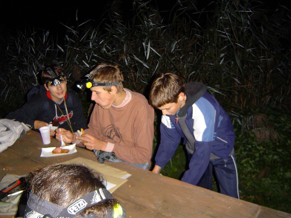 XII Ogólnopolskie Marsze na Orientację Szlakiem opadłych liści s002 - PTTK Strzelin