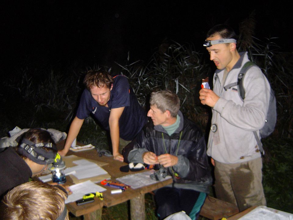 XII Ogólnopolskie Marsze na Orientację Szlakiem opadłych liści s002 - PTTK Strzelin