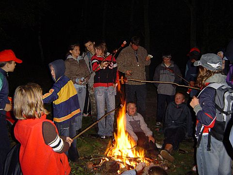 XII Ogólnopolskie Marsze na Orientację Szlakiem opadłych liści s16 - PTTK Strzelin