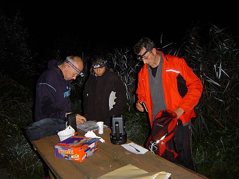 XII Ogólnopolskie Marsze na Orientację Szlakiem opadłych liści s28 - PTTK Strzelin