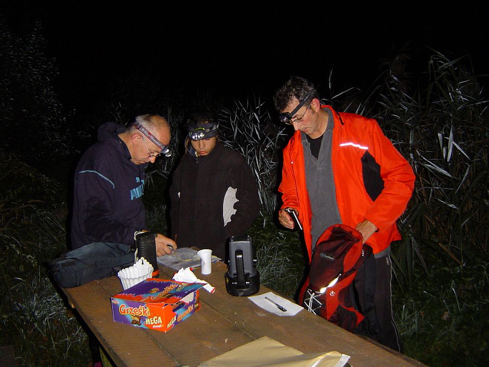 XII Ogólnopolskie Marsze na Orientację Szlakiem opadłych liści s002 - PTTK Strzelin