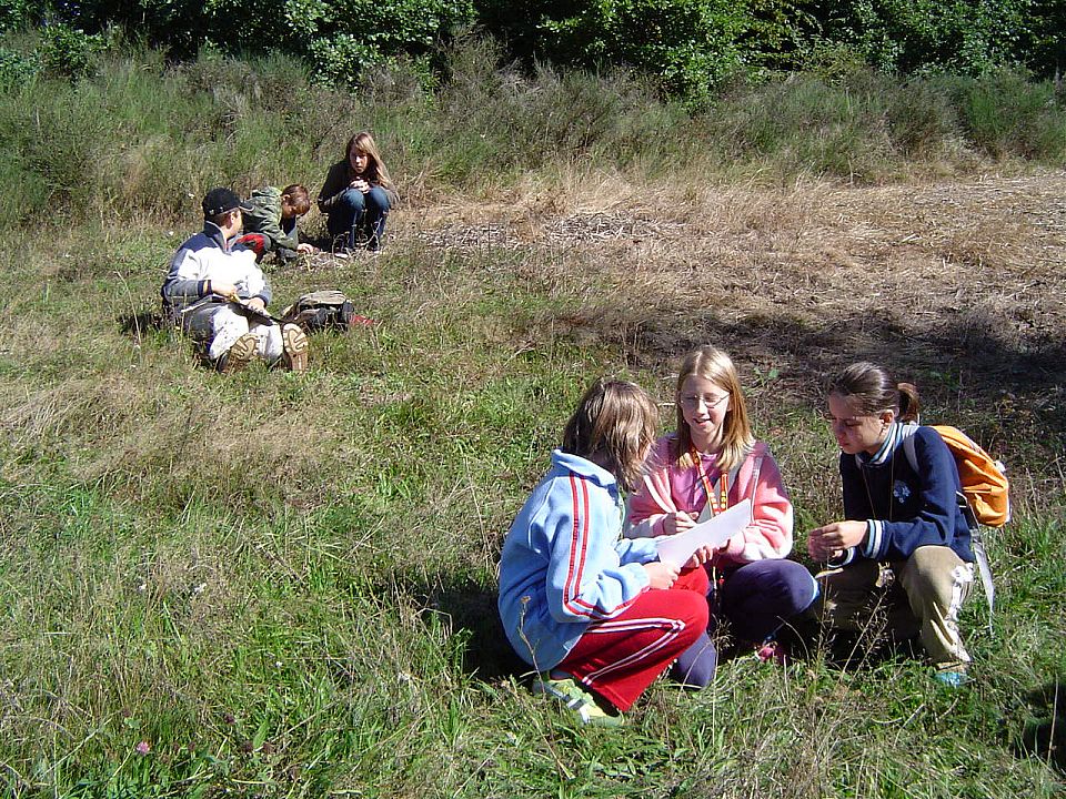 XII Ogólnopolskie Marsze na Orientację Szlakiem opadłych liści s002 - PTTK Strzelin