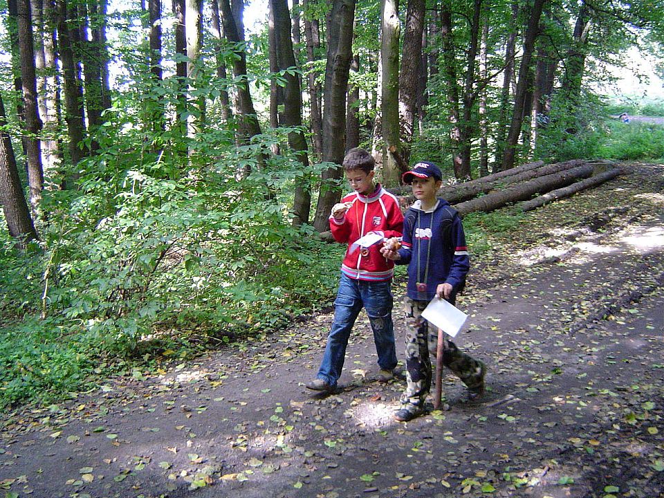 XII Ogólnopolskie Marsze na Orientację Szlakiem opadłych liści s002 - PTTK Strzelin
