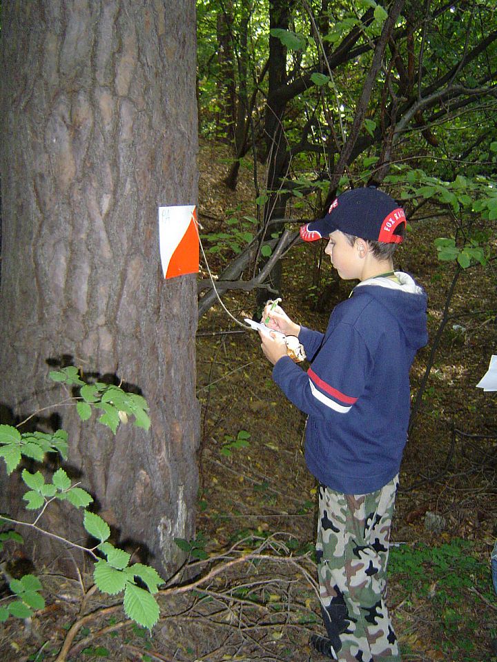 XII Ogólnopolskie Marsze na Orientację Szlakiem opadłych liści s002 - PTTK Strzelin