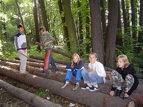 XII Ogólnopolskie Marsze na Orientację Szlakiem opadłych liści s85 - PTTK Strzelin
