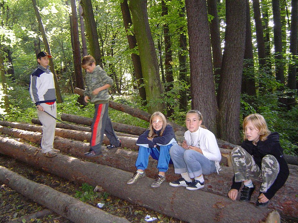 XII Ogólnopolskie Marsze na Orientację Szlakiem opadłych liści s002 - PTTK Strzelin
