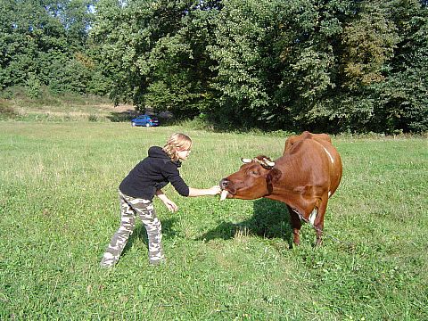 XII Ogólnopolskie Marsze na Orientację Szlakiem opadłych liści s86 - PTTK Strzelin