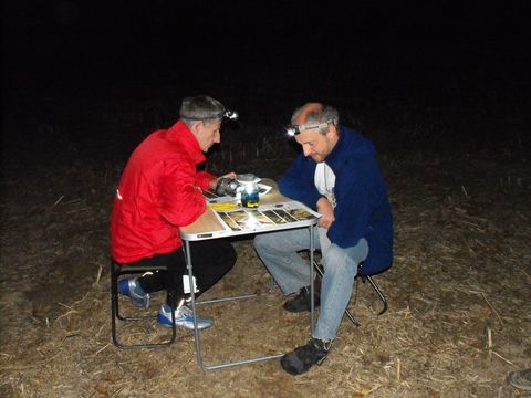 XIV Ogólnopolskie Marsze na Orientację Szlakiem opadłych liści s8 - PTTK Strzelin