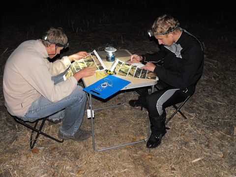 XIV Ogólnopolskie Marsze na Orientację Szlakiem opadłych liści s9 - PTTK Strzelin