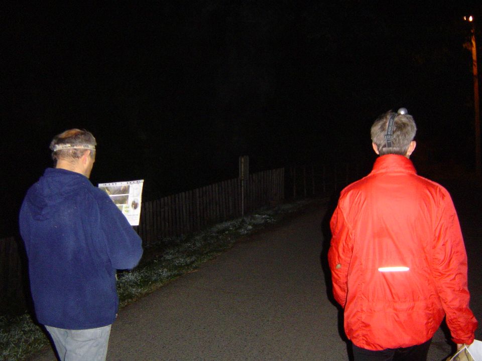 XIII Ogólnopolskie Marsze na Orientację Szlakiem opadłych liści s002 - PTTK Strzelin