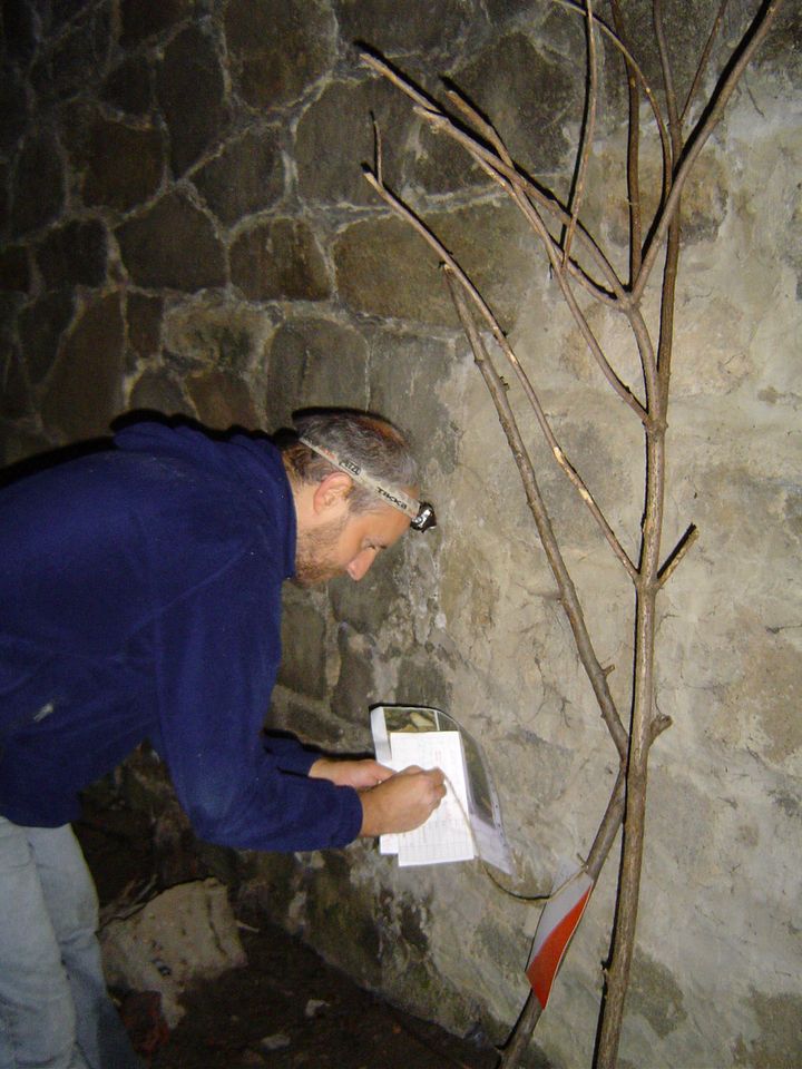 XIII Ogólnopolskie Marsze na Orientację Szlakiem opadłych liści s002 - PTTK Strzelin