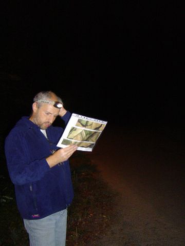 XIV Ogólnopolskie Marsze na Orientację Szlakiem opadłych liści s24 - PTTK Strzelin