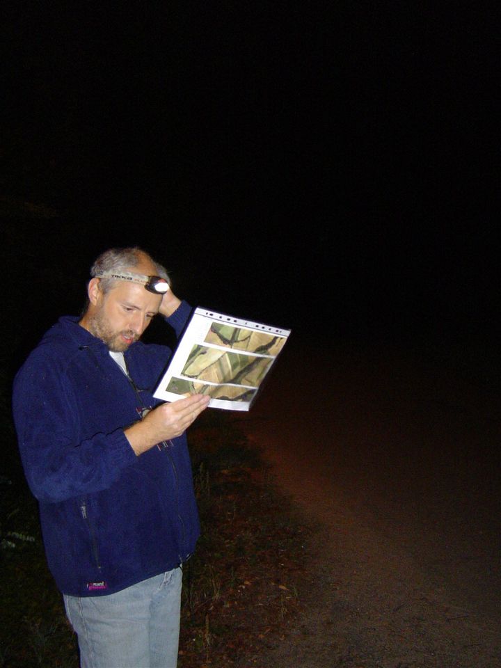 XIII Ogólnopolskie Marsze na Orientację Szlakiem opadłych liści s002 - PTTK Strzelin