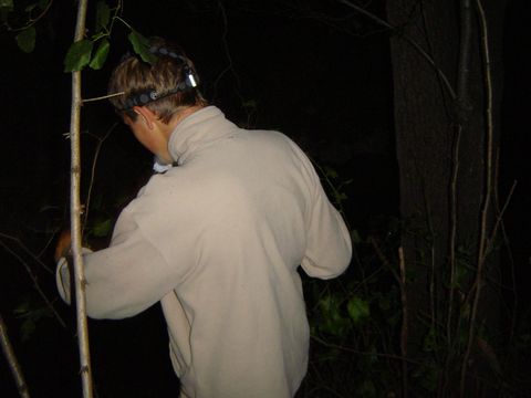 XIV Ogólnopolskie Marsze na Orientację Szlakiem opadłych liści s28 - PTTK Strzelin